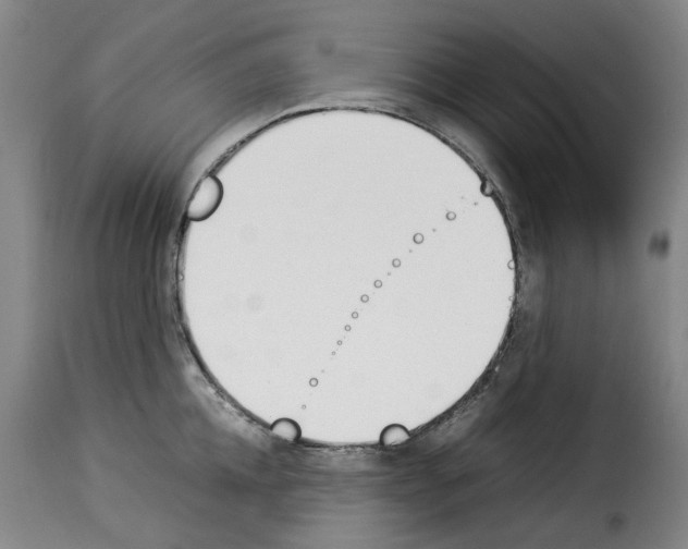 X0000114230952200911201107