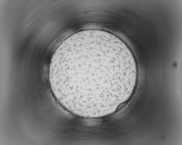 X0000114230953200911201107