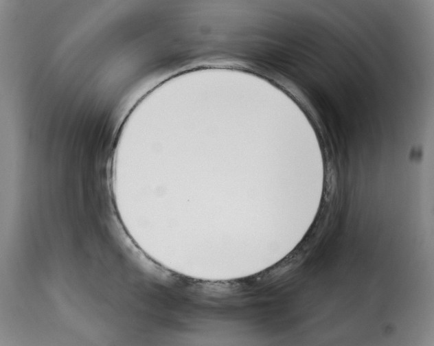 X0000114230959200911201107