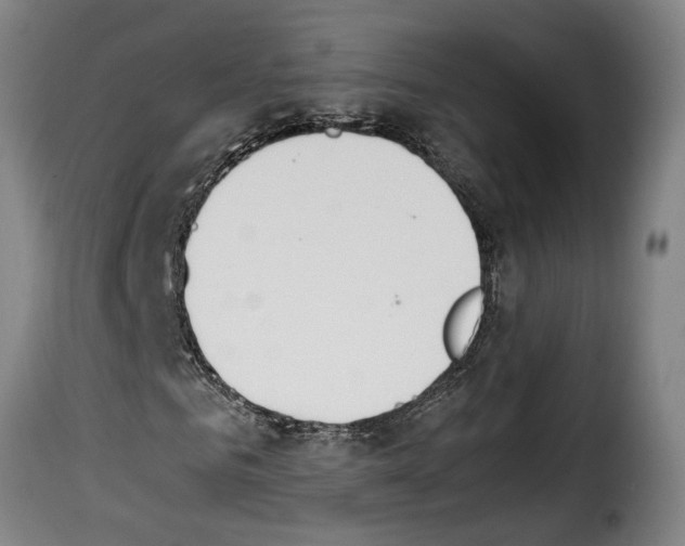 X0000114230961200911201106