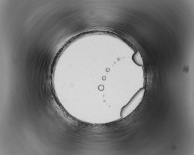 X0000114230972200911201106
