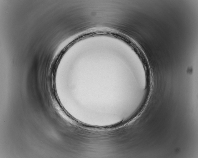 X0000114230973200911201106