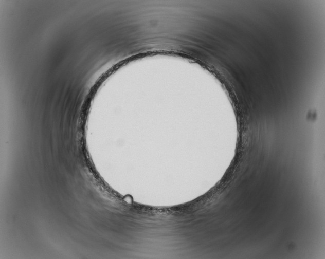 X0000114230975200911201106