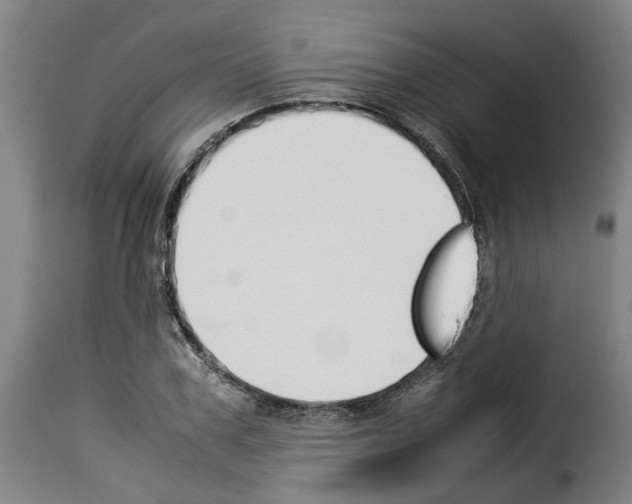 X0000114230979200911201106
