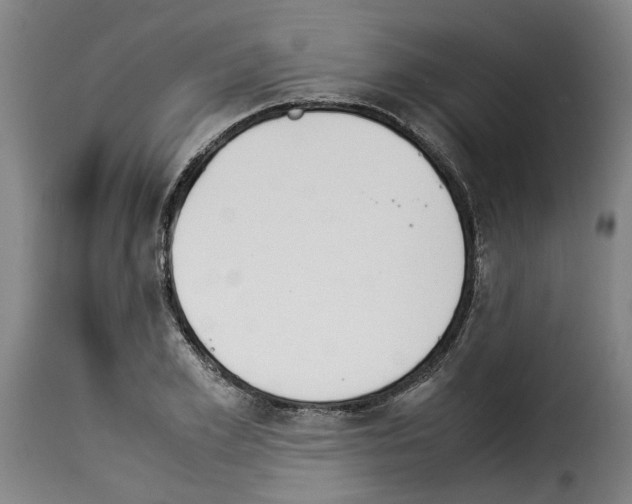X0000114230981200911201106