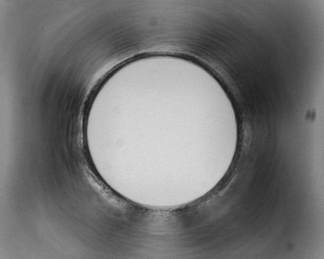 X0000114230982200911201106