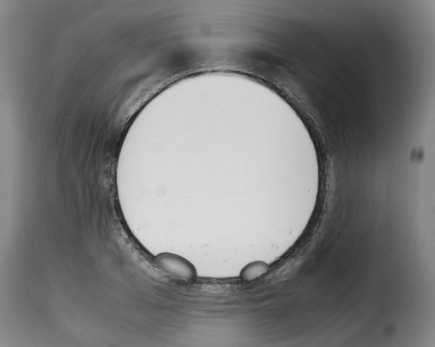 X0000114230985200911201106