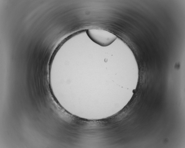 X0000114230988200911201106