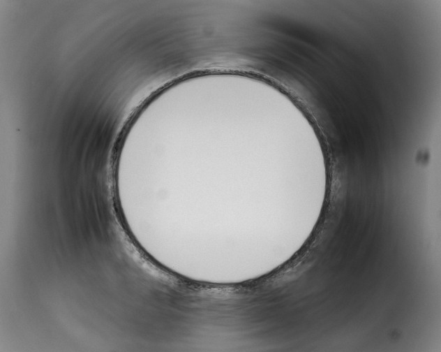 X0000114230990200911201105