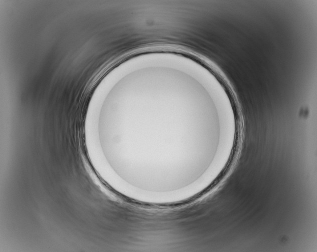 X0000114230993200911201105