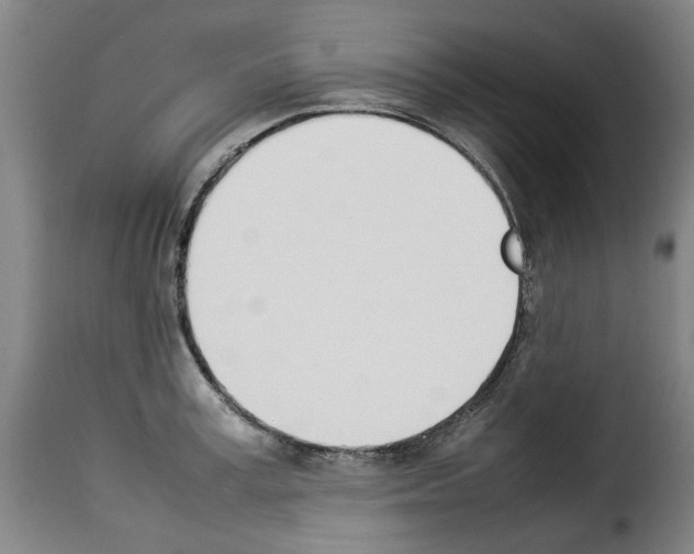 X0000114230995200911201105