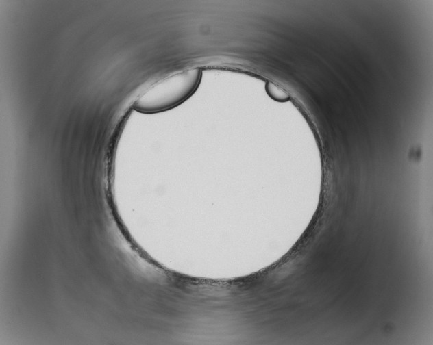 X0000114230999200911201105
