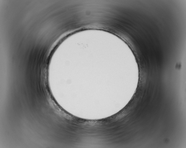 X0000114231000200911201105