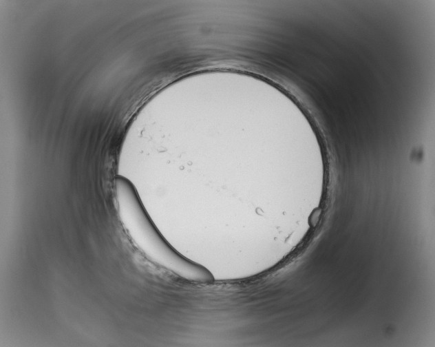 X0000114231001200911201105