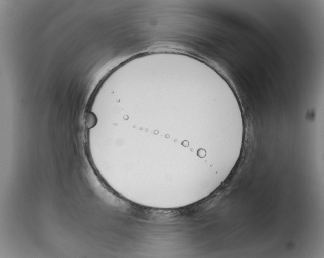 X0000114231003200911201105