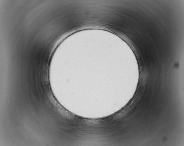 X0000114231004200911201105