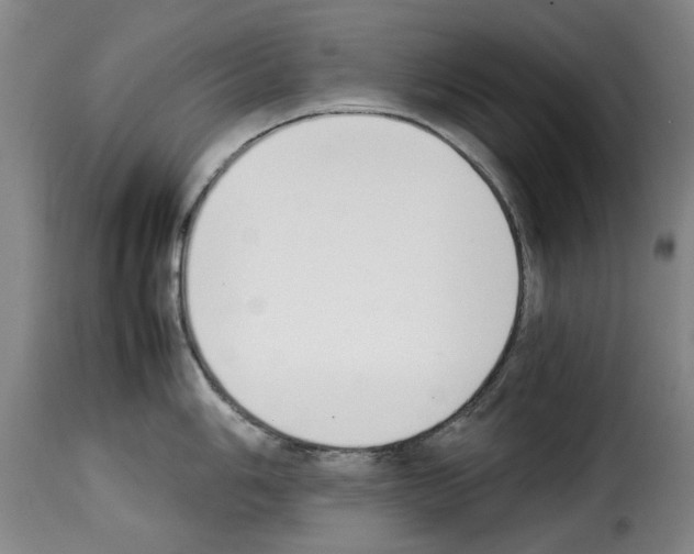 X0000114231006200911201105
