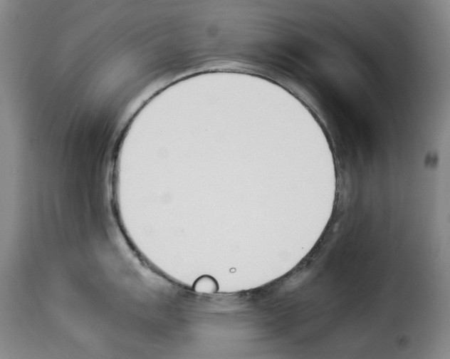 X0000114231007200911201105