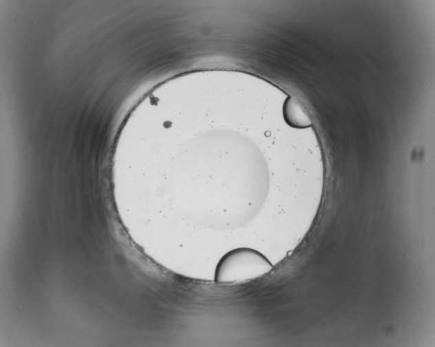 X0000114231008200911201105