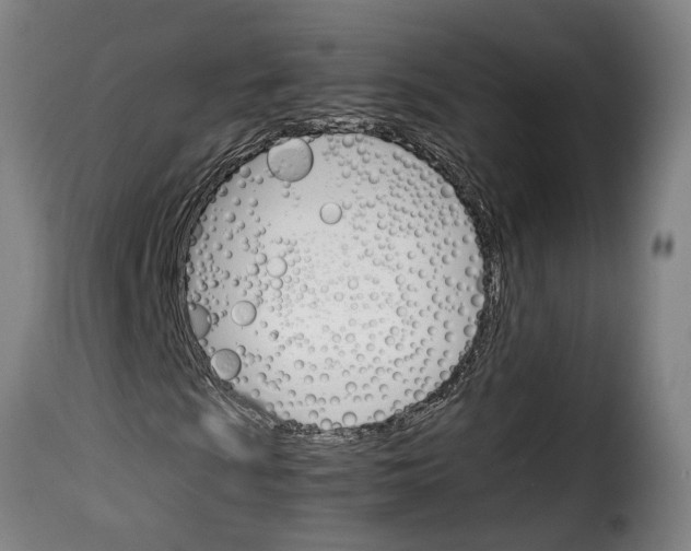 X0000114231009200911201105