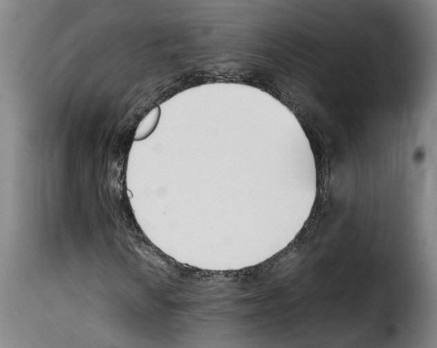 X0000114231010200911201105