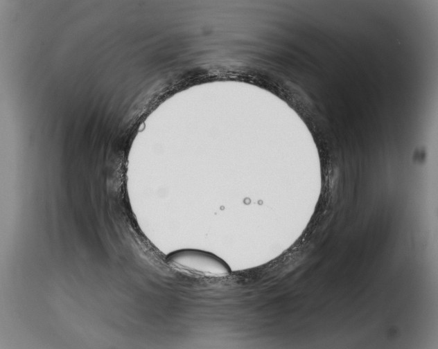 X0000114231012200911201105