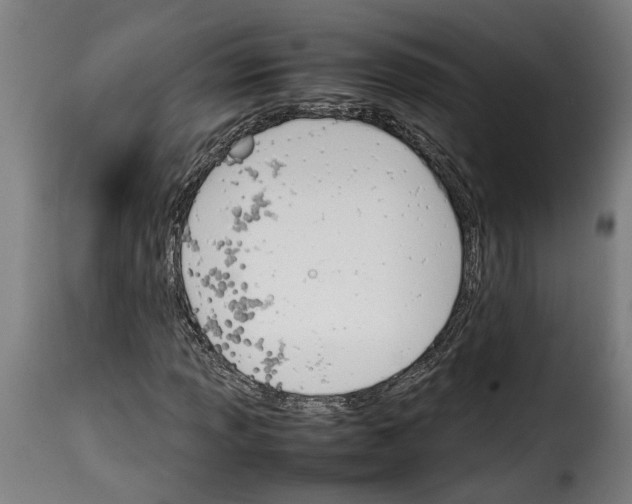 X0000114231013200911201105