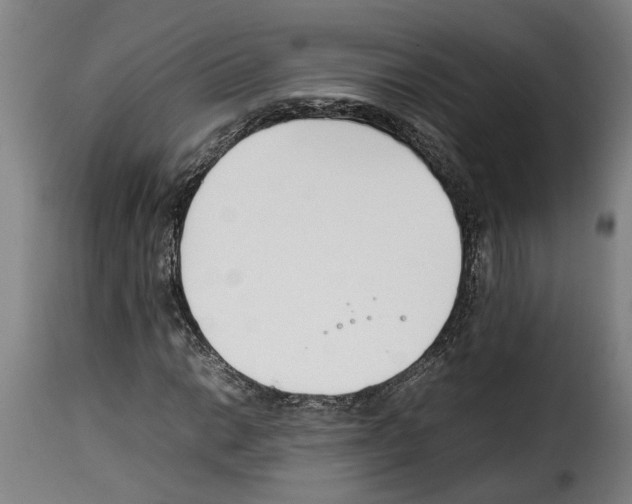X0000114231014200911201105