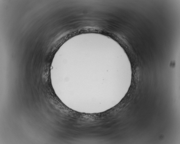 X0000114231015200911201105