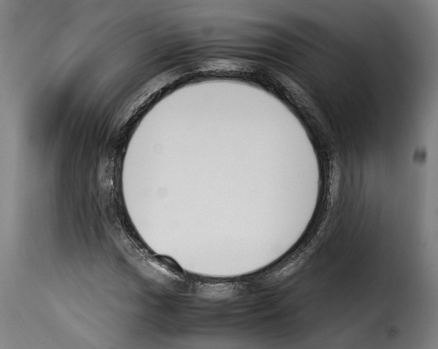 X0000114231017200911201105