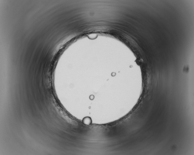 X0000114231018200911201105