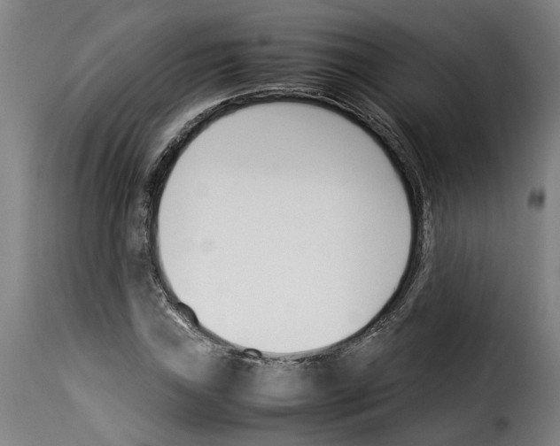 X0000114231019200911201105