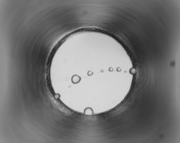 X0000114231020200911201105