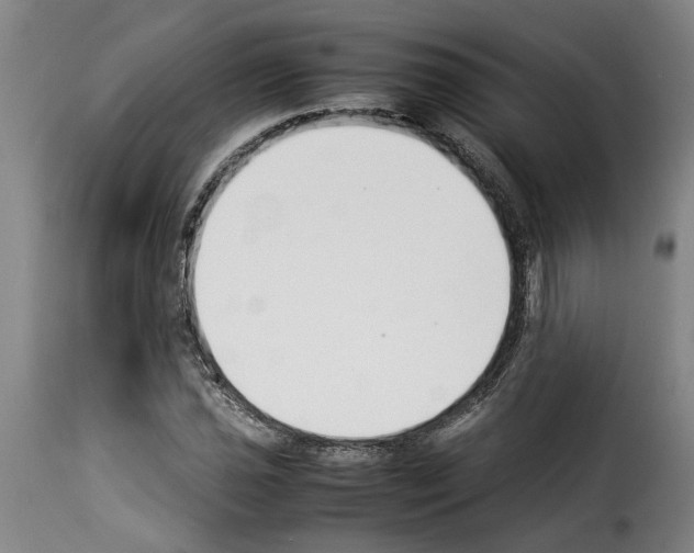 X0000114231021200911201105