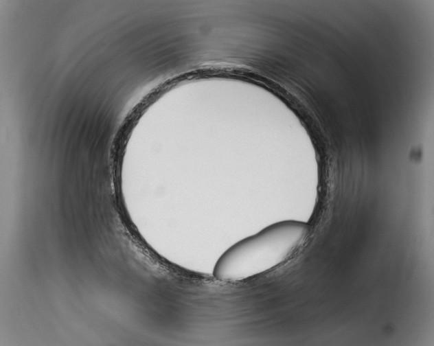 X0000114231022200911201105