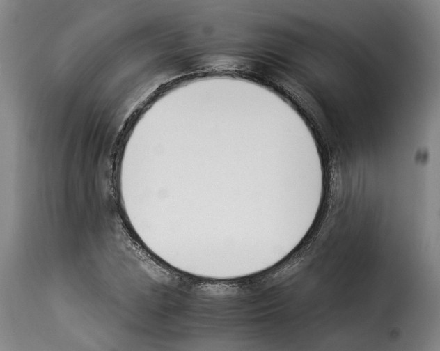 X0000114231023200911201105