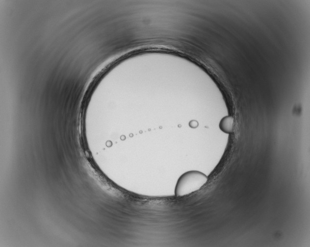 X0000114231028200911201105