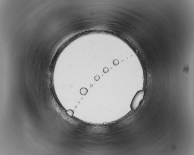 X0000114231029200911201105