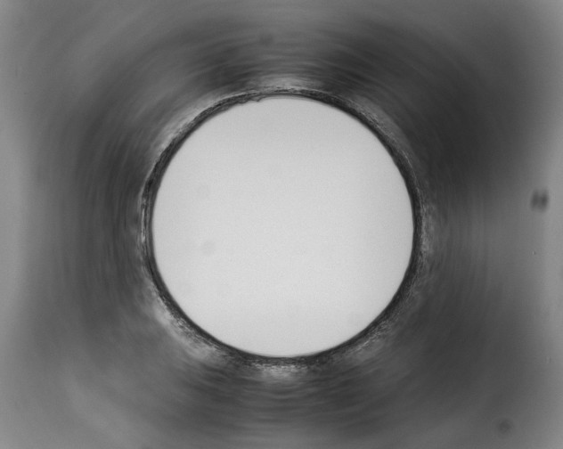 X0000114231031200911201105