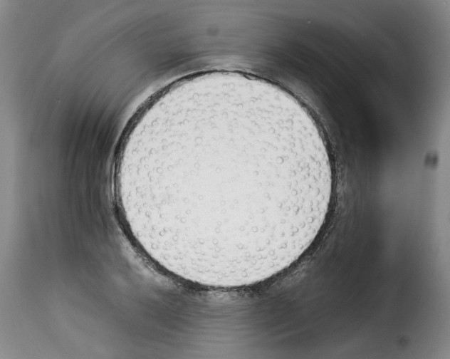 X0000114231032200911201105