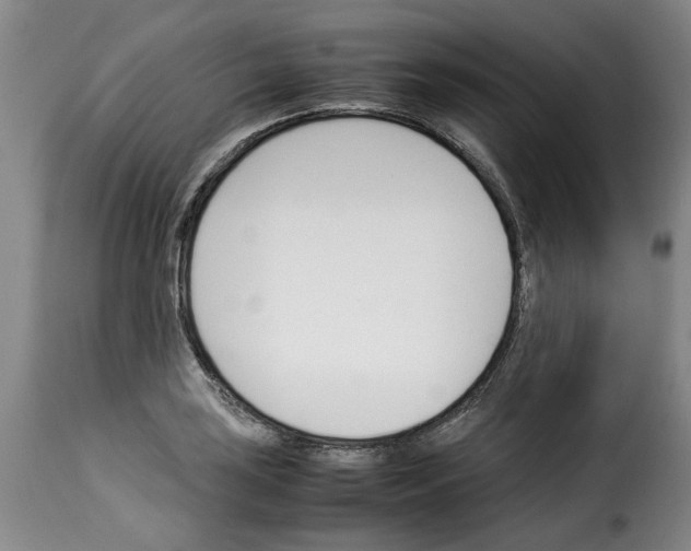 X0000114231035200911201105