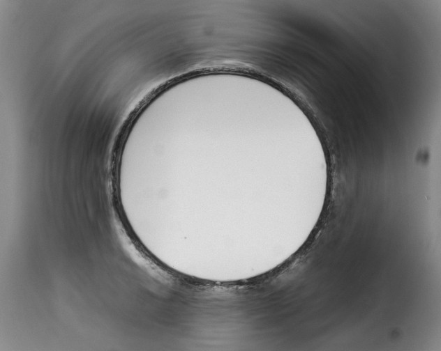 X0000114231038200911201105