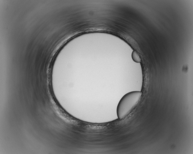 X0000114231039200911201105