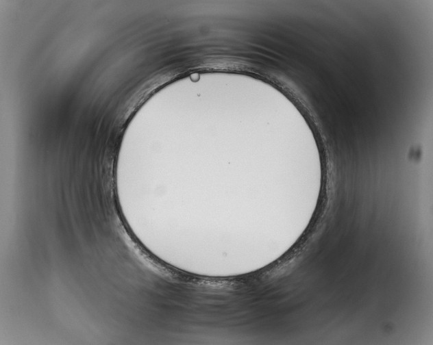 X0000114231041200911201105