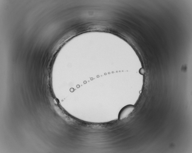 X0000114231042200911201105