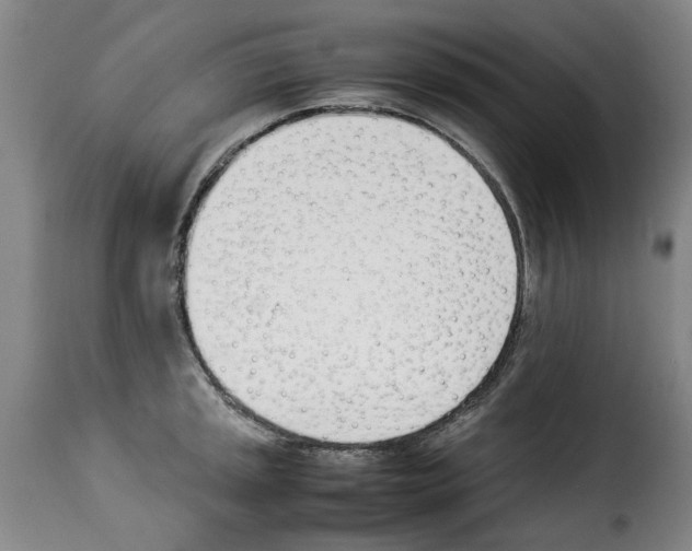 X0000114231045200911201105