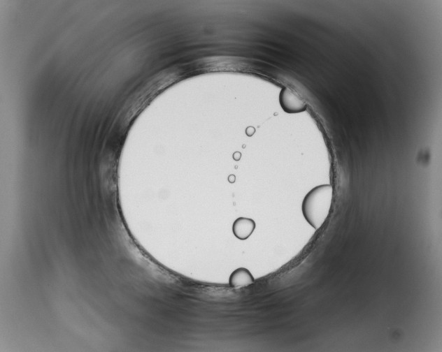 X0000114231049200911201105