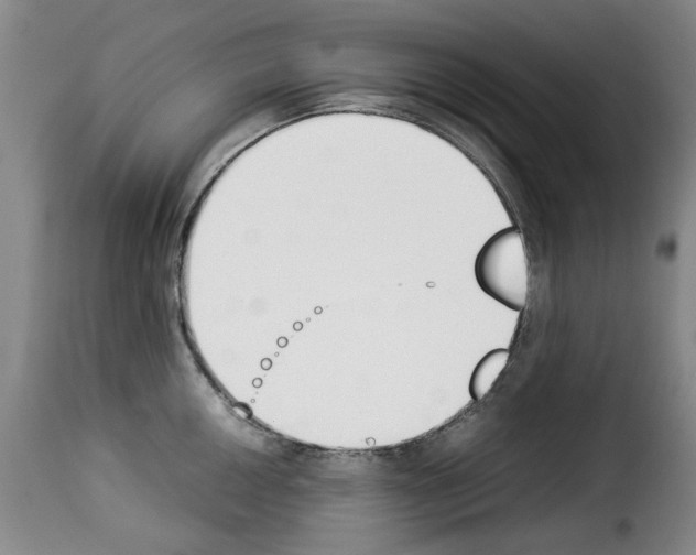X0000114231050200911201105