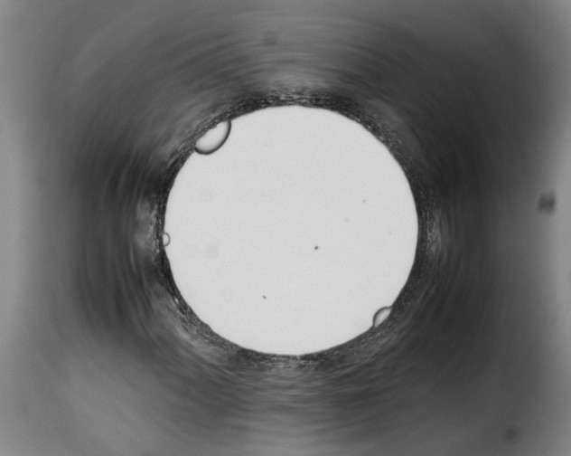 X0000114231060200911201105