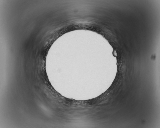 X0000114231061200911201105